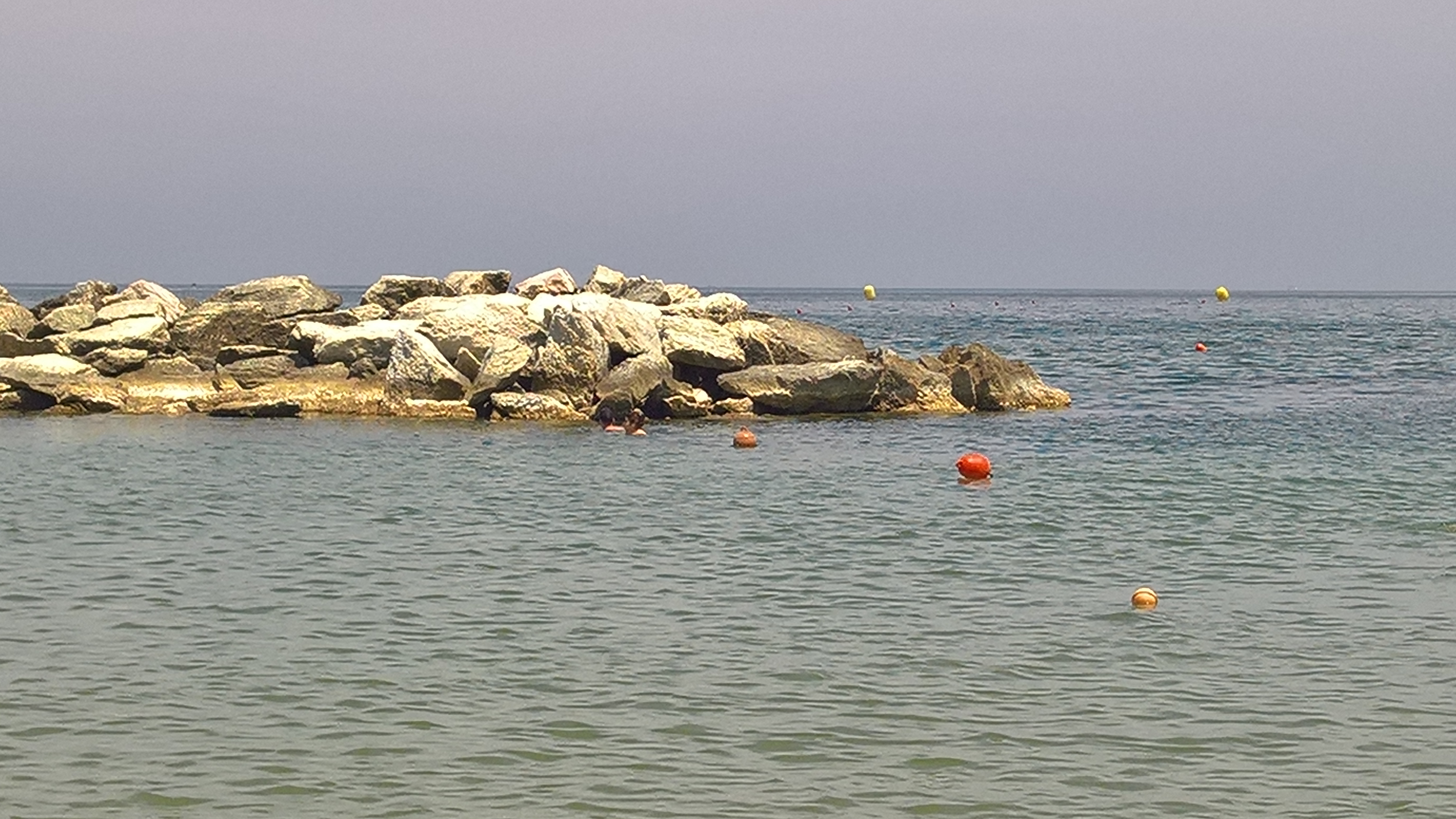 WP 20170616 12 31 38 Rich